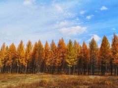 -塞罕坝国家级自然保护区