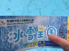 -芜湖新华联大白鲸海洋公园