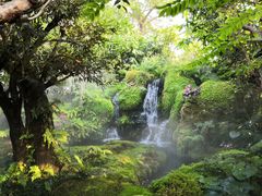 -Chom Cafe and Restaurant