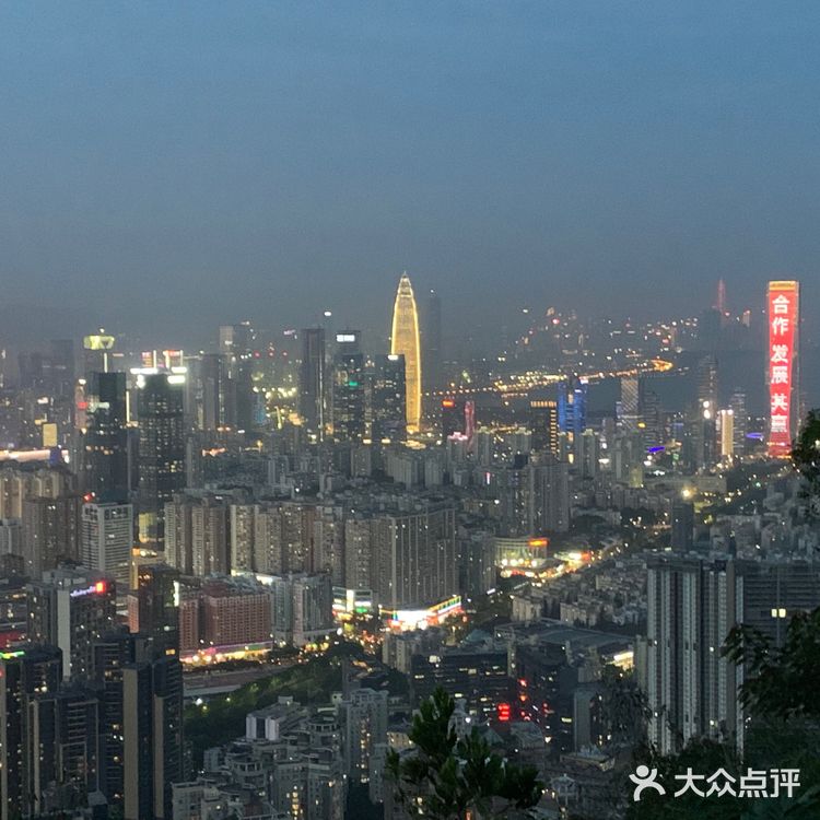 深圳南山公园登山攻略📒📒