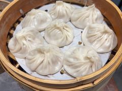 -莱莱小笼·乔艾