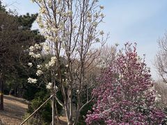 -北京西山国家森林公园