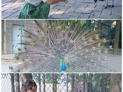 -南京金牛湖风景区