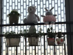 -T·C BEAUTY皮肤管理美容美体工作室