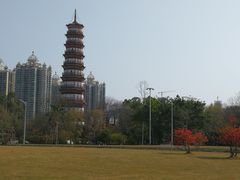 -小茶闲舍·观景商务茶馆(广州塔店)