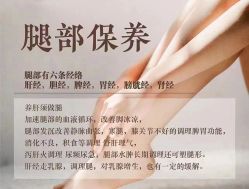 点击看大图 -YESIDO椰岛美容