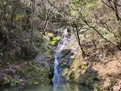 -宁波市保国寺古建筑博物馆