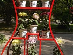 -上海市龙华烈士陵园