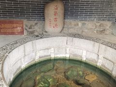 -《12·12》西安事变大型实景演出