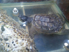 android_upload_pic-上海大自然野生昆虫馆