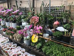 -秦美花卉(天朗·莱茵小城2期店)