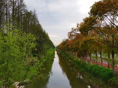 -上海长兴岛郊野公园