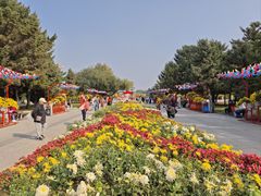 -北陵公园