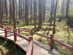 -波尔登森林公园