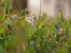 -苏州吴中太湖旅游区