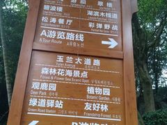 -广州市流溪河国家森林公园