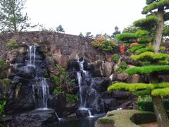 -汉拿树木园