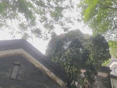-广州神农草堂中医药博物馆