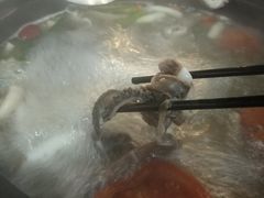 -七采菌园·石锅鱼野生菌火锅(环城北路店)