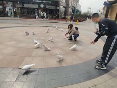 -中粮·祥云小镇