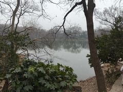 -紫霞湖公园
