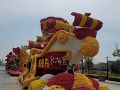 -荷兰花海