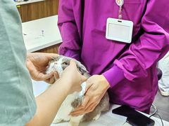 -宠爱国际维尼动物医院·疑难骨科·神经外科·肿瘤科(丰潭路店)