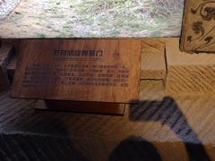 -宁夏博物馆
