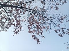 -宜家家居(高新商场店)