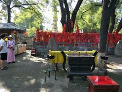 -大槐树寻根祭祖园