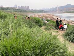 -金海湾滨江公园