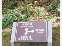 -紫金山山顶公园
