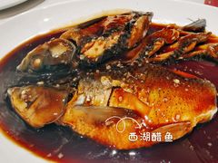 西湖醋鱼-知味观(湖滨总店)
