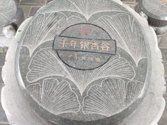 -千年银杏谷文化旅游区