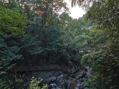 -大围山国家森林公园