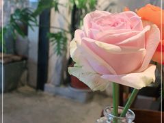 -邊渡咖啡
