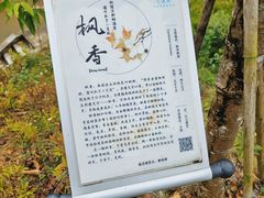 -世间香境·七溪地