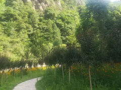 -花溪风景区