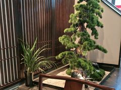 -溪畔•新徽菜(碧湖云溪店)