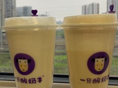 -一只酸奶牛(八一路店)