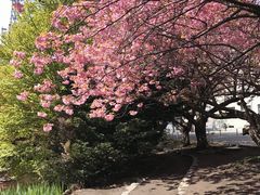 -北海道厅旧本厅舍(旧本庁舎)