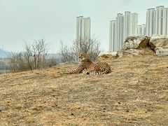 -太原动物园