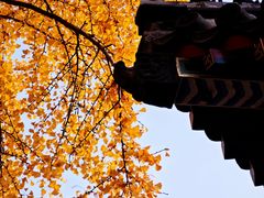 -承恩寺