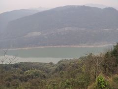 -铁山坪森林公园