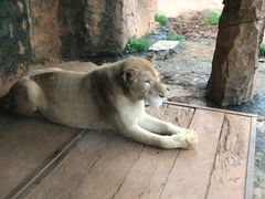 -杭州野生动物世界