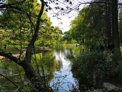 -上海共青森林公园