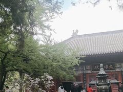 -红螺寺