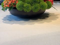 -花家怡园