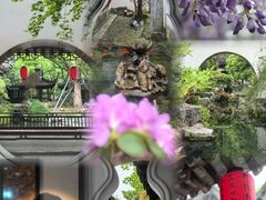 -上海醉白池公园