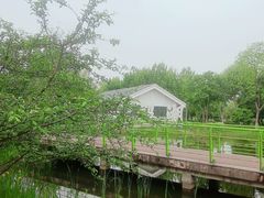 -金银湖国家城市湿地公园